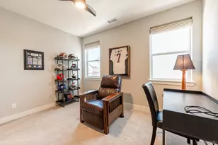 52 Simmental Loop, Castle Rock, CO 80104 - Photo 21