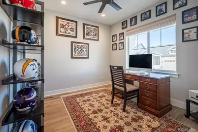 52 Simmental Loop, Castle Rock, CO 80104 - Photo 3