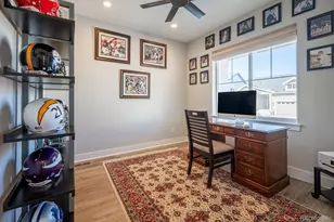 52 Simmental Loop, Castle Rock, CO 80104 - Photo 3