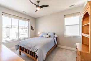 52 Simmental Loop, Castle Rock, CO 80104 - Photo 19