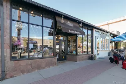 1028 Jackson Street, Denver, CO 80206 - Photo 39