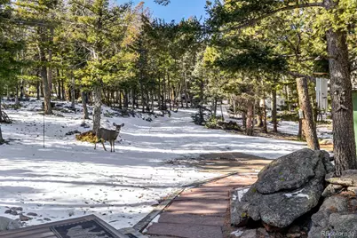 13202 Riley Peak Road, Conifer, CO 80433 - Photo 37