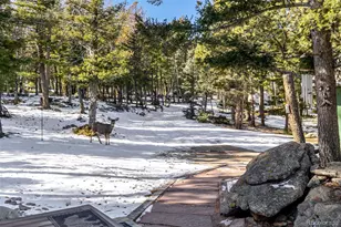 13202 Riley Peak Rd, Conifer, CO 80433 - Photo 37