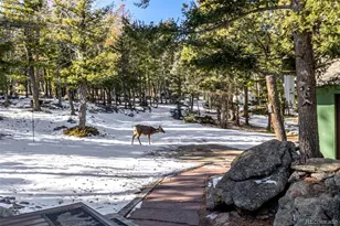 13202 Riley Peak Rd, Conifer, CO 80433 - Photo 39