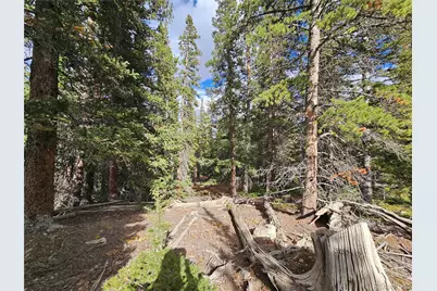 617 Gold Trail Circle, Fairplay, CO 80440 - Photo 1