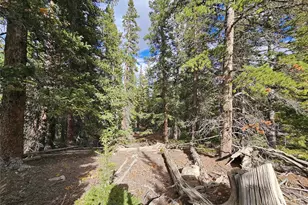 617 Gold Trail Circle, Fairplay, CO 80440 - Photo 1