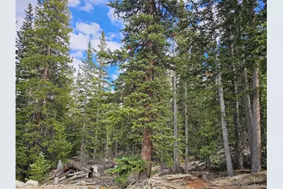 617 Gold Trail Circle, Fairplay, CO 80440 - Photo 5