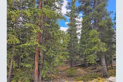 617 Gold Trail Circle, Fairplay, CO 80440 - Photo 3