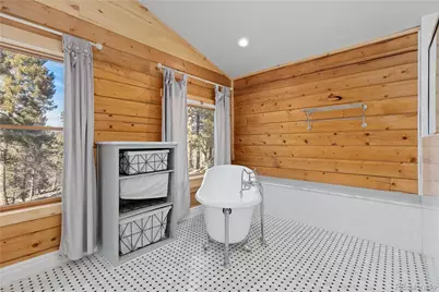 1910 Wildhorn Road, Florissant, CO 80816 - Photo 19