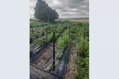 32207 County Road 75, Crook, CO 80726 - Photo 49