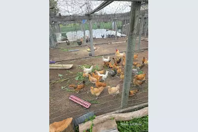 32207 County Road 75, Crook, CO 80726 - Photo 31