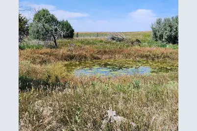 32207 County Road 75, Crook, CO 80726 - Photo 35