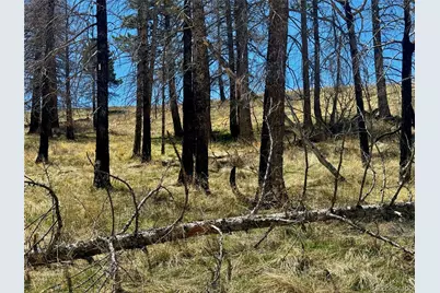 Lot 7712 Hallstein Road, Fort Garland, CO 81133 - Photo 17