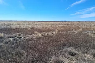 N Site Address, Avondale, CO 81022 - Photo 1