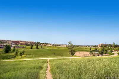 1020 English Sparrow Trail, Littleton, CO 80129 - Photo 49