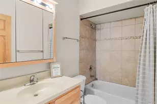 238 Prunes Pl, Fairplay, CO 80440 - Photo 21