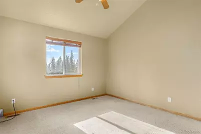 238 Prunes Place, Fairplay, CO 80440 - Photo 17