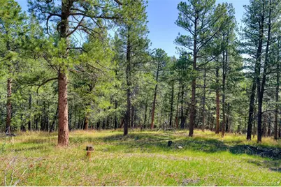 281 Kings, Evergreen, CO 80439 - Photo 3