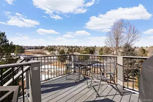 8333 Briar Trace Way, Castle Pines, CO 80108 - Photo 43