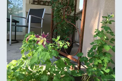 2519 Greensborough Drive, Highlands Ranch, CO 80129 - Photo 43