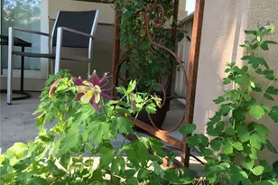 2519 Greensborough Dr, Highlands Ranch, CO 80129 - Photo 43