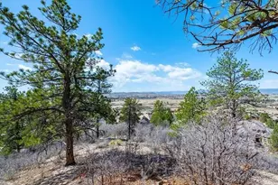 655 Ruby Trust Dr, Castle Rock, CO 80108 - Photo 15