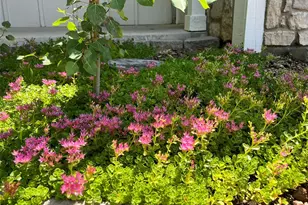 5904 S Netherland Cir, Centennial, CO 80015 - Photo 47