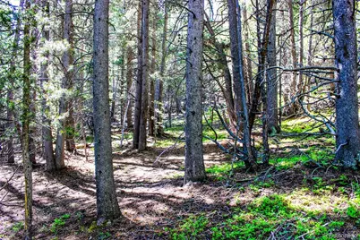 4 Roosevelt Ridge, Black Hawk, CO 80422 - Photo 19