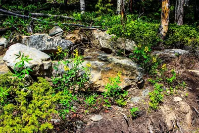 4 Roosevelt Ridge, Black Hawk, CO 80422 - Photo 7
