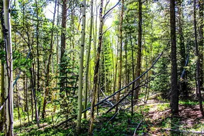 4 Roosevelt Ridge, Black Hawk, CO 80422 - Photo 21