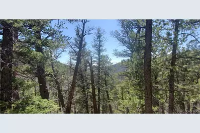 Lot 6764 Kerrigan Road, Fort Garland, CO 81133 - Photo 3