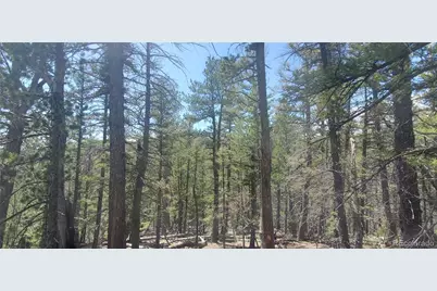 Lot 6764 Kerrigan Road, Fort Garland, CO 81133 - Photo 5