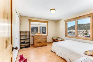 29 S Oak St, Alma, CO 80420 - Photo 29