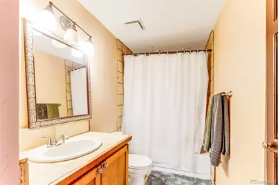 29 S Oak Street, Alma, CO 80420 - Photo 31