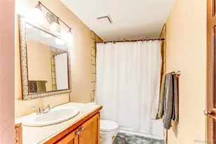 29 S Oak St, Alma, CO 80420 - Photo 31