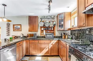 29 S Oak St, Alma, CO 80420 - Photo 9