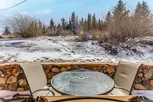 29 S Oak St, Alma, CO 80420 - Photo 37
