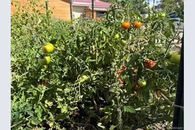 34562 State Highway 17, Antonito, CO 81120 - Photo 23