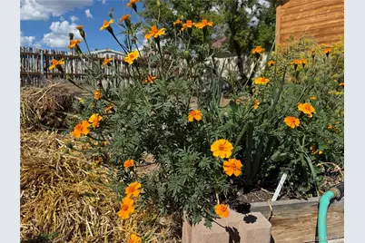 34562 State Highway 17, Antonito, CO 81120 - Photo 25