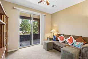 8552 Gold Peak Ln, Highlands Ranch, CO 80130 - Photo 21
