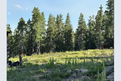Mountain Meadows, Black Hawk, CO 80422 - Photo 25