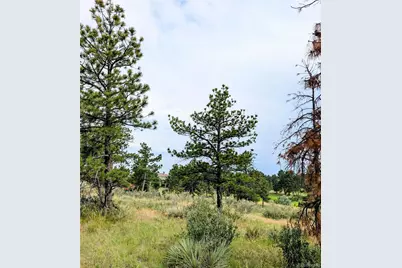 11634 Bell Cross Circle, Parker, CO 80138 - Photo 7