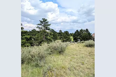 11634 Bell Cross Circle, Parker, CO 80138 - Photo 15