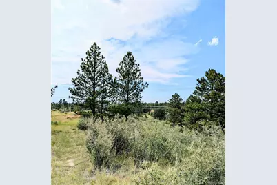 11634 Bell Cross Circle, Parker, CO 80138 - Photo 13