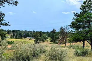 11634 Bell Cross Cir, Parker, CO 80138 - Photo 1