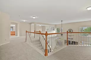 10081 Charissglen Ln, Highlands Ranch, CO 80126 - Photo 25