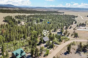 167 Stellar Jay Way, Fairplay, CO 80440 - Photo 17