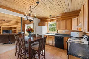 167 Stellar Jay Way, Fairplay, CO 80440 - Photo 13