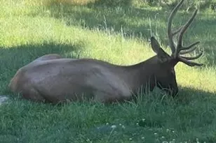7262 S Sourdough Dr, Morrison, CO 80465 - Photo 47