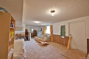67649 Vega Vista Dr, Collbran, CO 81624 - Photo 17
